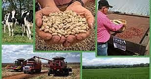 La condición de beneficiario del Fondo de Tierras