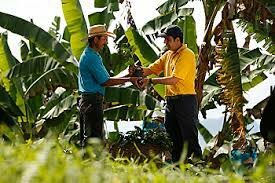 Extensión rural en Colombia se enfocará en productividad y competitividad del campo