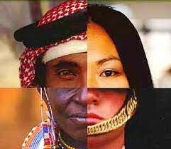 Módulo Educación intercultural en Colombia. Del reconocimiento político a los retos pedagógicos. Carlos Enrique Pérez Orozco