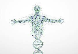 FIN del Proyecto ENCODE