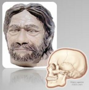 HOMO SAPIENS SAPIENS