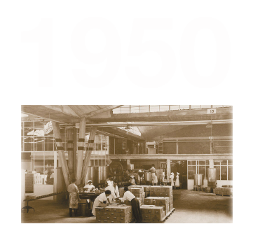 Décadas de los 50´s