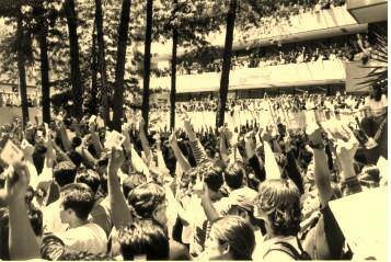 Resultados del plebiscito