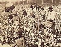 Antebellum Period