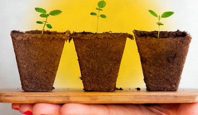 Convención de las naciones unidas de lucha contra la desertificación