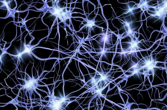 Pistas Neuronales,