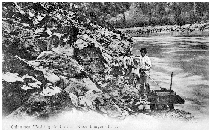 Gold Mountain