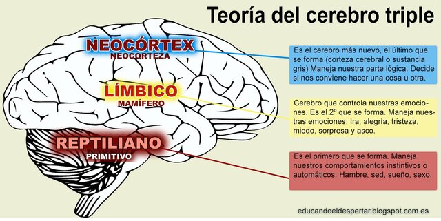 Llegada de los primeros mamíferos. (205 Millones de años)