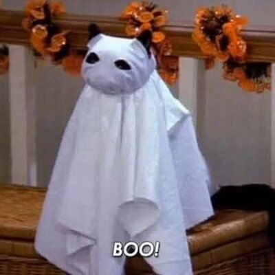 Timeline: MY TIMELINE (FIGNAL ASSIGMENT)