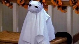 Timeline: MY TIMELINE (FIGNAL ASSIGMENT)