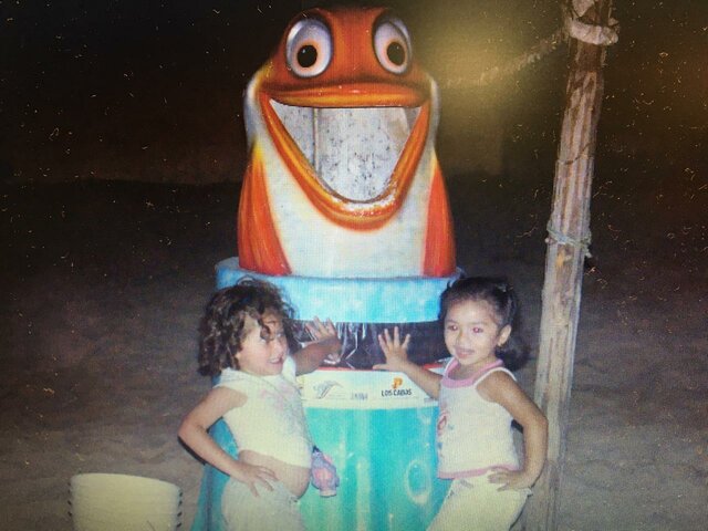 The vacations at Puerto Vallarta