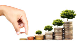 Timeline: Evolución histórica del pensamiento ambiental y sostenible