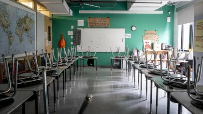 professional practices