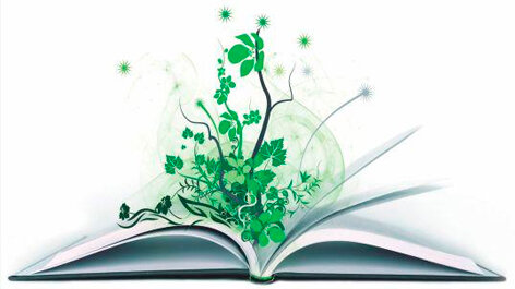 Consolidación de la Educación Ambiental