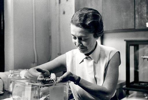 Nobel Rita Levi Montalcini