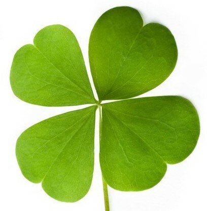 Uitzetten organisatiestructuur