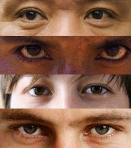 Brasil: Lei Estadual nº 4151 institui sistema de cotas nas universidades públicas do Rio de Janeiro