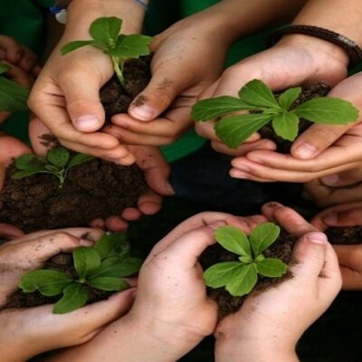 Timeline: EVENTOS HISTORICOS AMBIENTALES