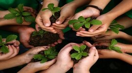 Timeline: EVENTOS HISTORICOS AMBIENTALES