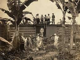 United Fruit Company