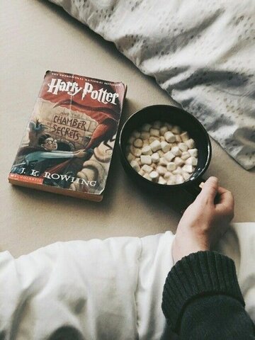 Harry Potter and the Chamber of Secrets