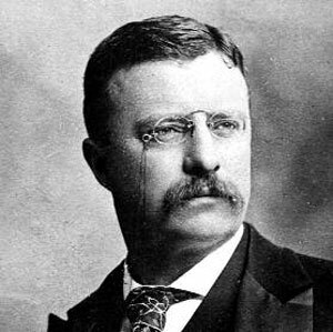 President Roosevelt Elected