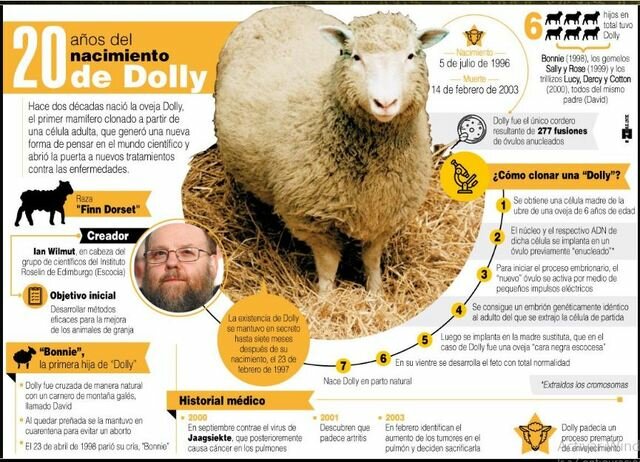 Dolly