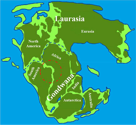 Separation of continents