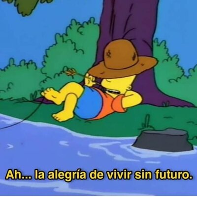 Timeline: Participación