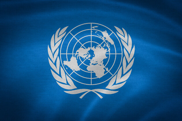 Declaración de las Naciones Unidas