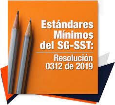 RESOLUCIÓN 0312 DE 2019