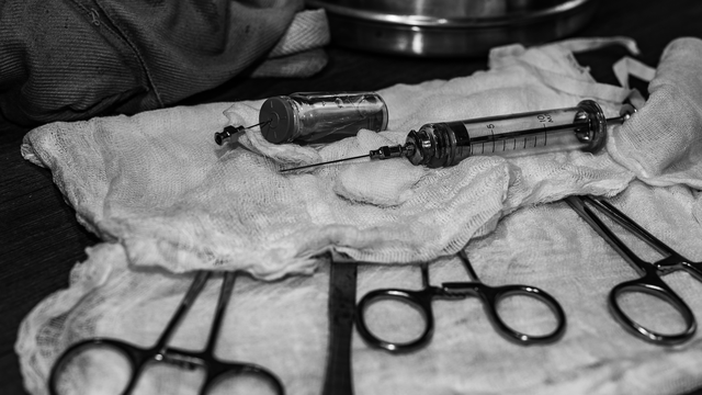 Las prácticas tempranas de investigación