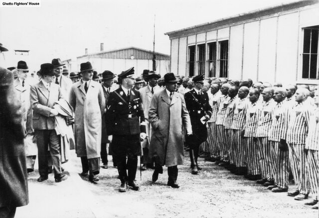 Experimentos durante la era Nazi