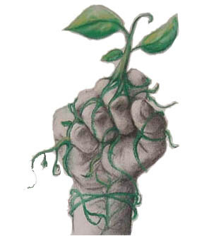 Revolución verde siglo