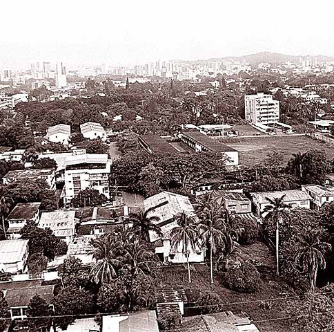 Revisión de los programas de educación