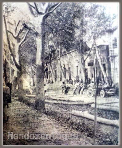 Inicio del arbolado público.