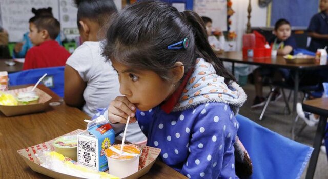 PROGRAMAS DE DESAYUNOS ESCOLARES