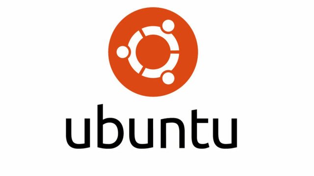10.04
