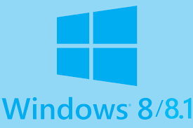 WS 8