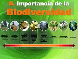 POLITICA NACIONAL DE BIODIVERSIDAD
