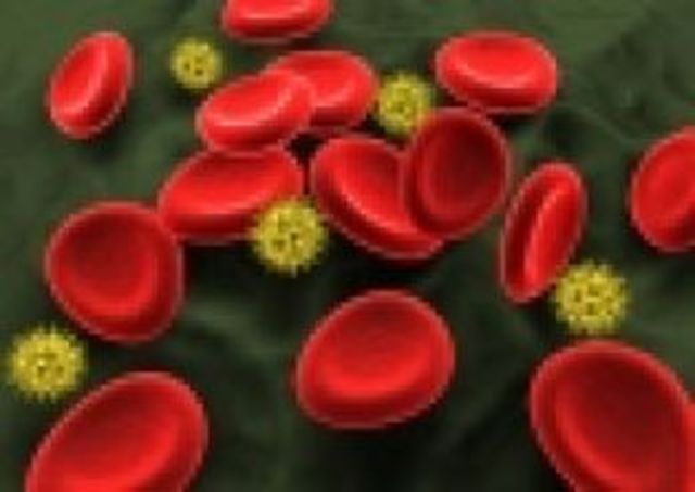 Blood circulation first described Bacteria discovered