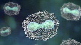 Timeline: La viruela y su línea cronológica