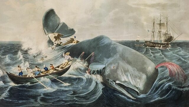 Literatura: Herman Melville