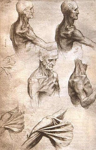 Michelangelo,Leonardo da Vinci e Antonio Pollaio