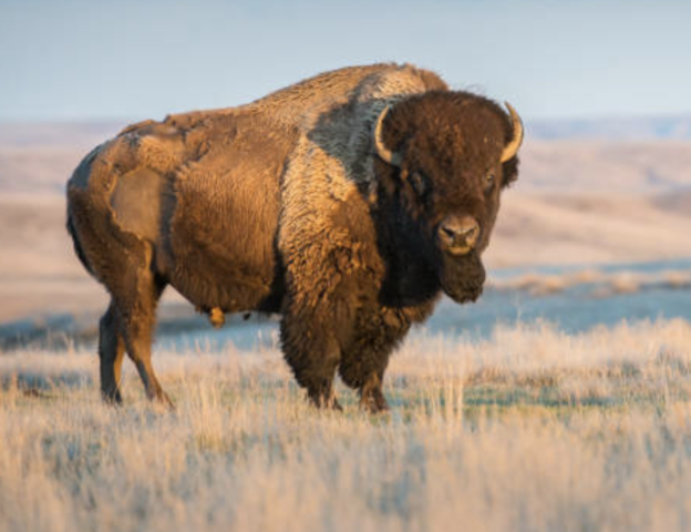 North Dakota became a territory.