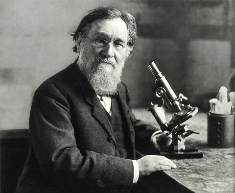 Elías Melchnikoff (Fagocitosis)