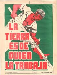 La reforma del macetero