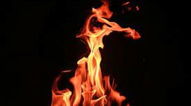 Timeline: We didn't start the fire