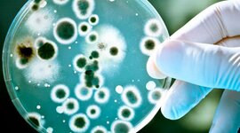 Timeline: MICROBIOLOGÍA