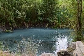 Vertidos en el río iregua tiñen el agua de azul